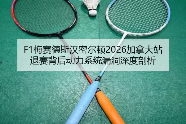 mei-sai-de-si-han-mi-er-dun-jia-na-da-zhan-tui-sai-bei-hou-dong-li-xi-tong-lou-dong-shen-du-pou-xi-2-371.jpg